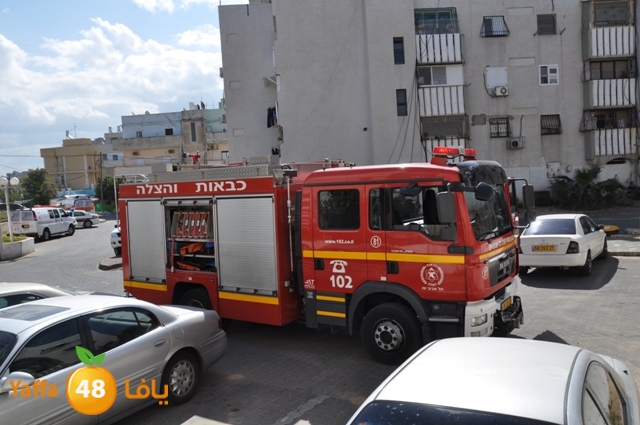 fireshekonatelarab (12).JPG